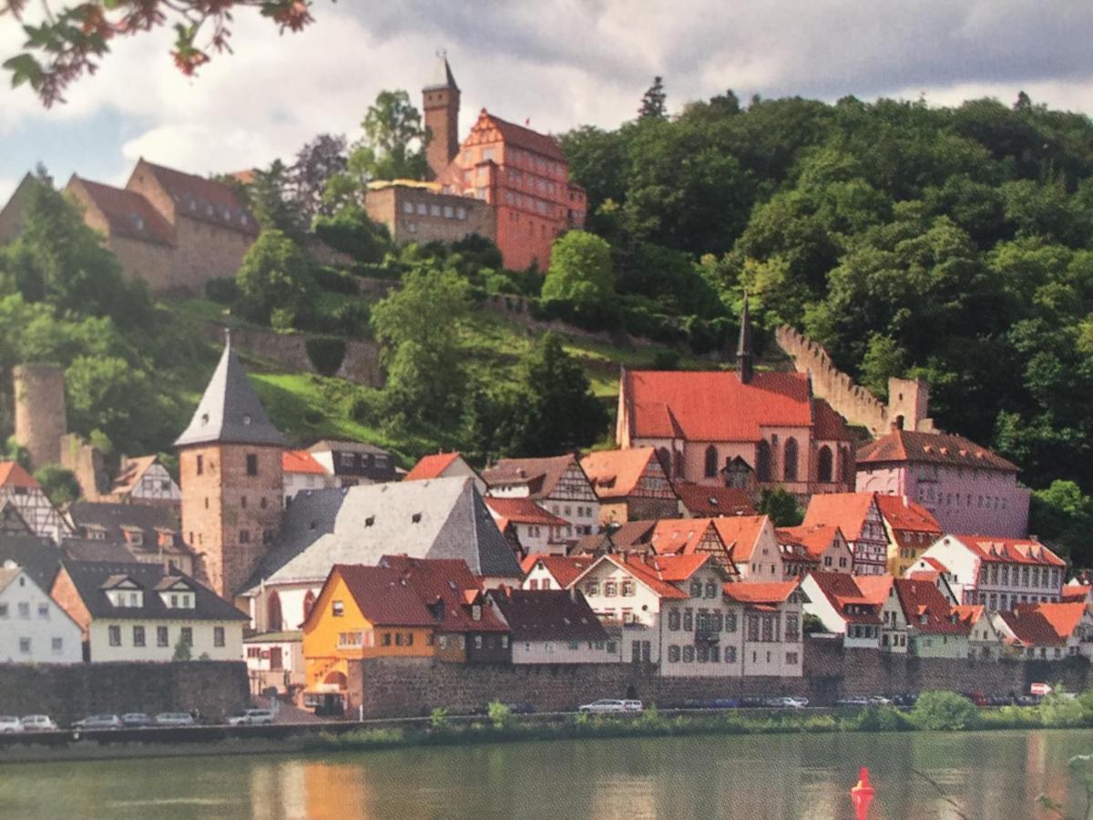הירשהורן Neckarblick,Natur, Altstadt מראה חיצוני תמונה