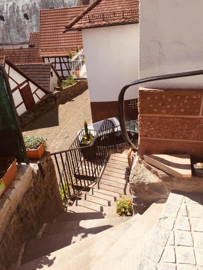 הירשהורן Neckarblick,Natur, Altstadt מראה חיצוני תמונה
