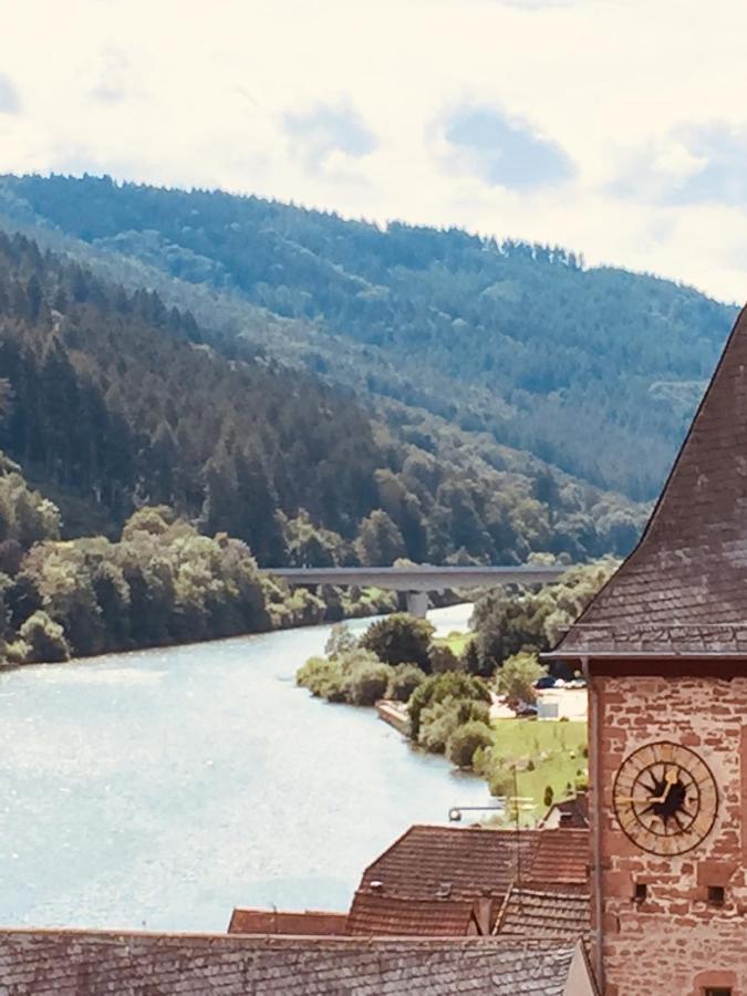 הירשהורן Neckarblick,Natur, Altstadt מראה חיצוני תמונה