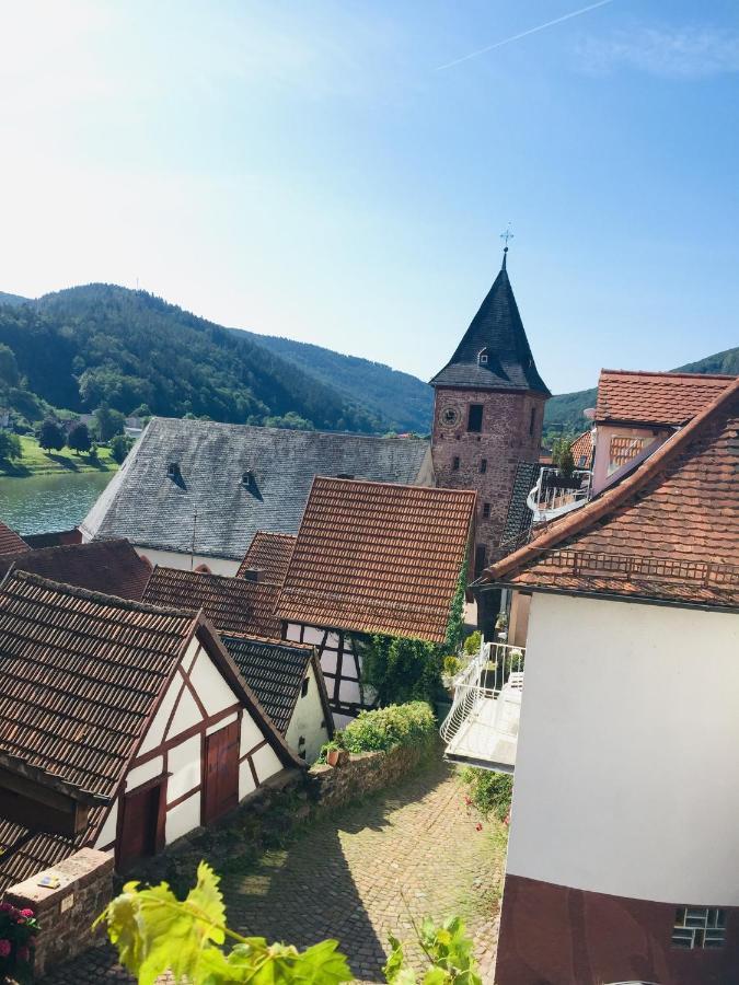 הירשהורן Neckarblick,Natur, Altstadt מראה חיצוני תמונה