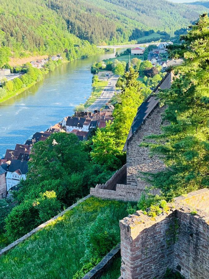 הירשהורן Neckarblick,Natur, Altstadt מראה חיצוני תמונה