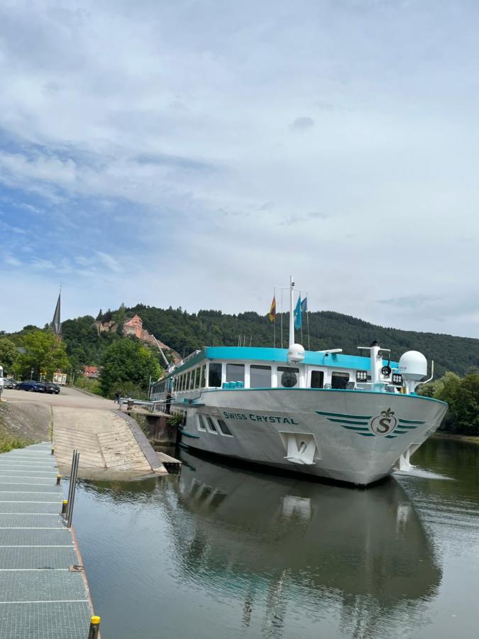 הירשהורן Neckarblick,Natur, Altstadt מראה חיצוני תמונה