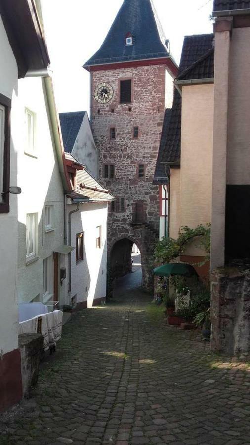 הירשהורן Neckarblick,Natur, Altstadt מראה חיצוני תמונה