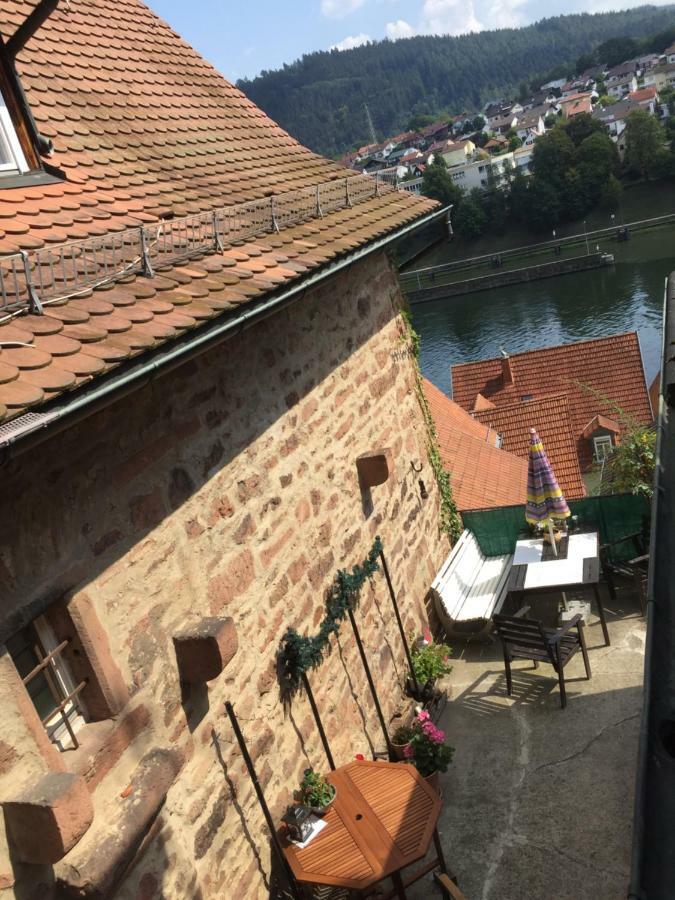 הירשהורן Neckarblick,Natur, Altstadt מראה חיצוני תמונה