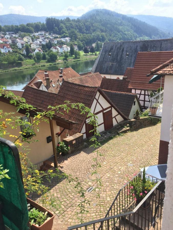 הירשהורן Neckarblick,Natur, Altstadt מראה חיצוני תמונה